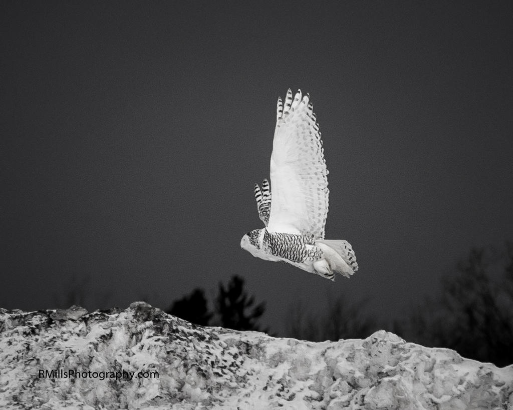 P1010144.jpg