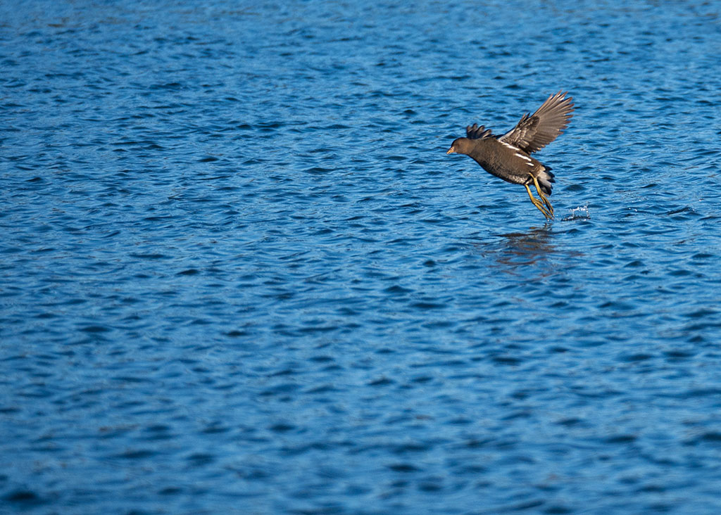 P1010444.jpg