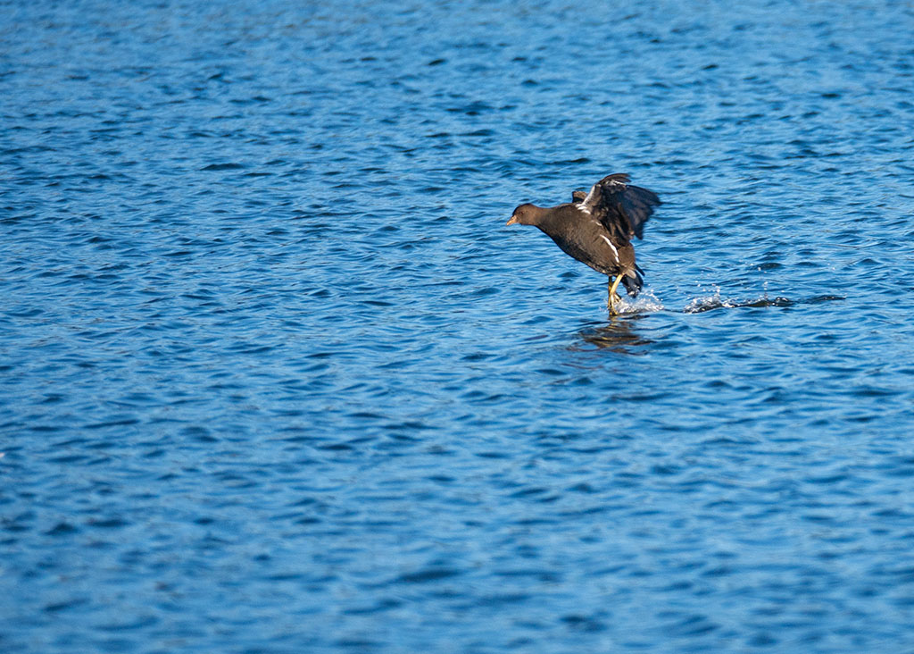 P1010445.jpg