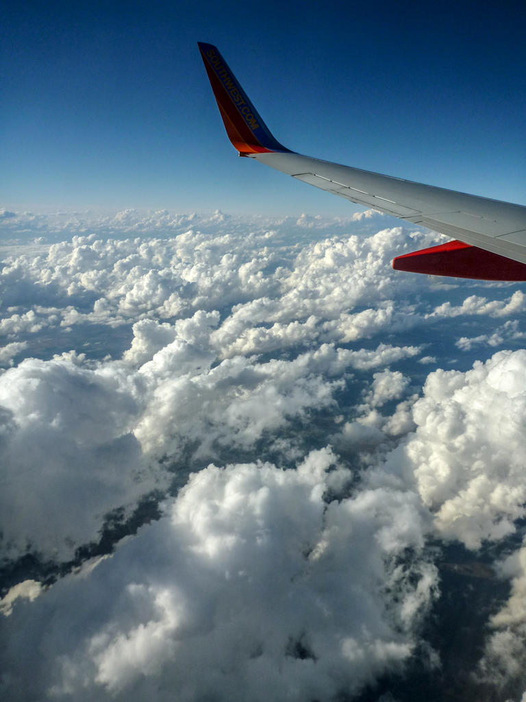 P1010457.jpg