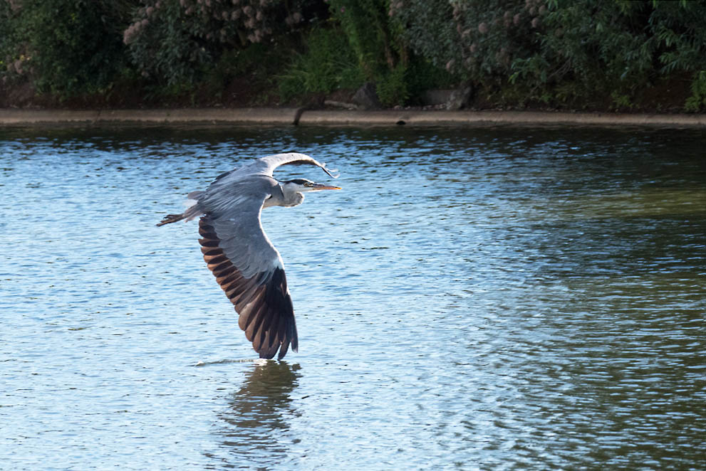 P1040861e.jpg