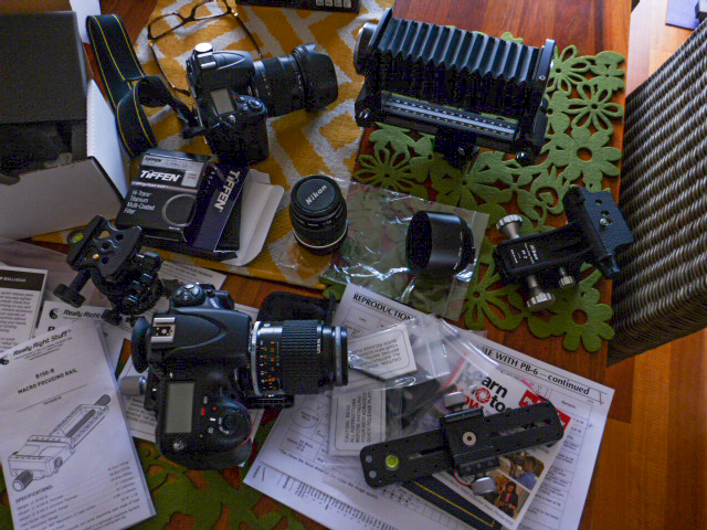 P1080769.jpg