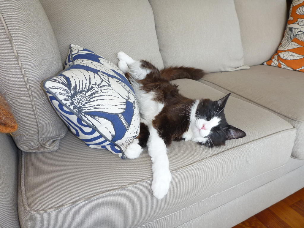 P1080855.jpg