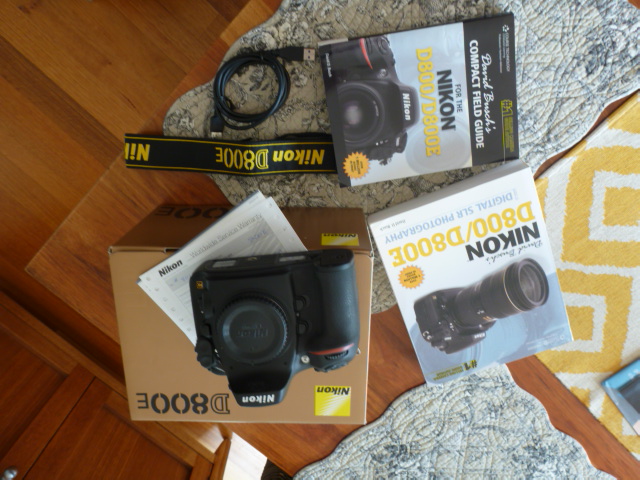 P1090217.JPG
