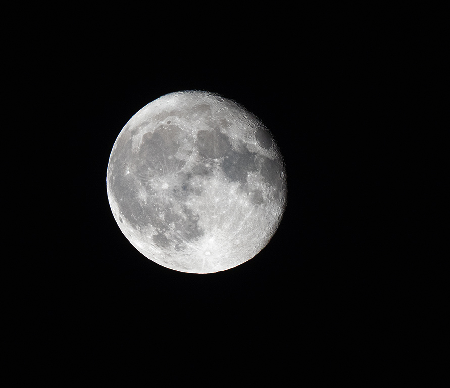P1100041.jpg