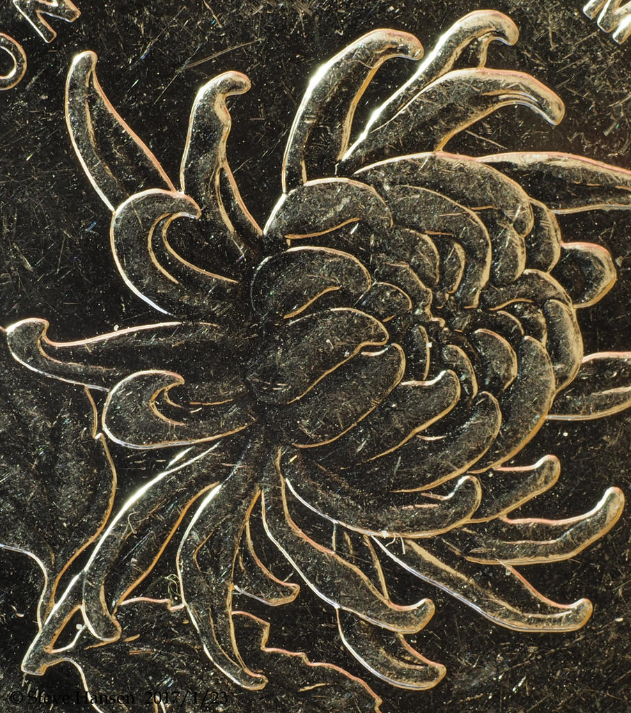 P1230444.jpg