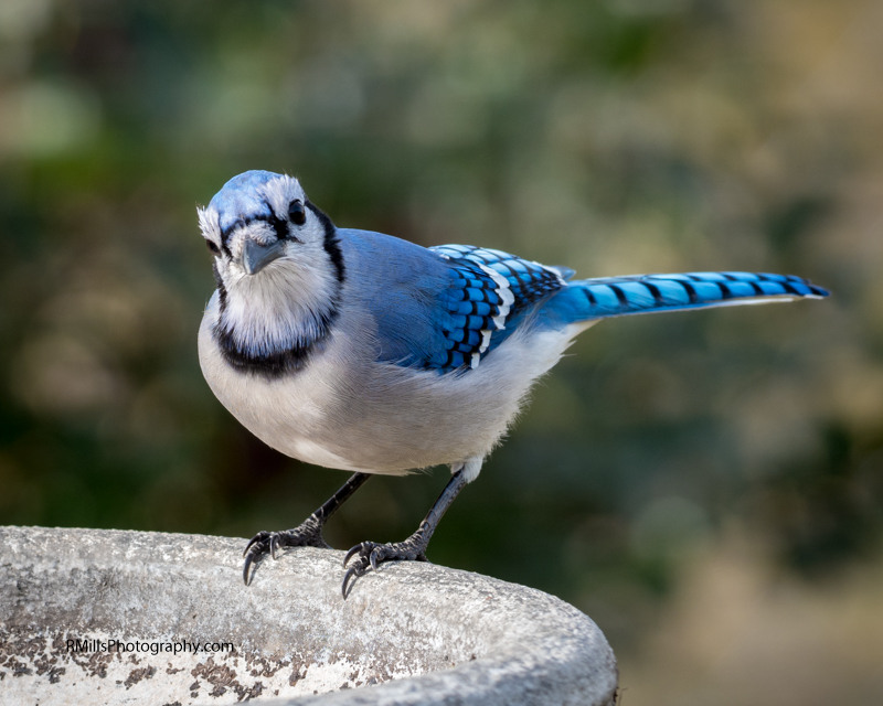 P2280064-2.jpg