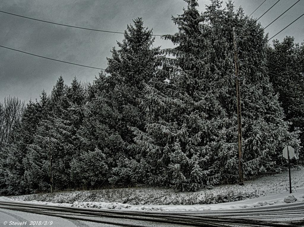 P3090264.jpg