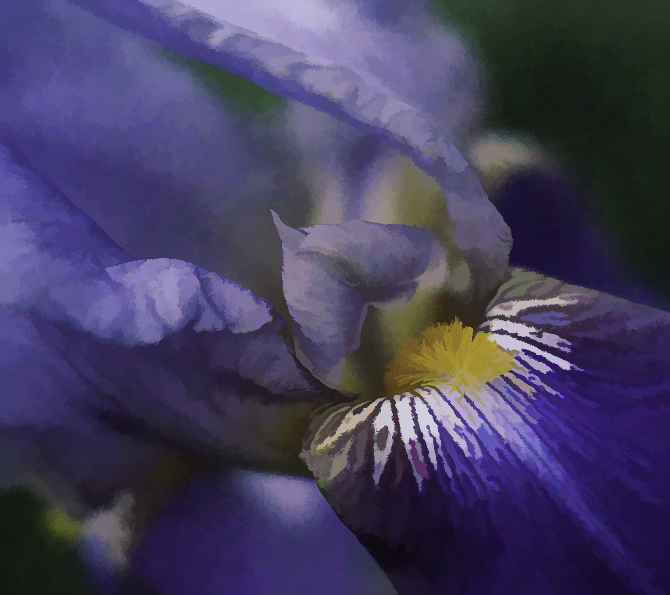P50773643512-EditT.jpeg