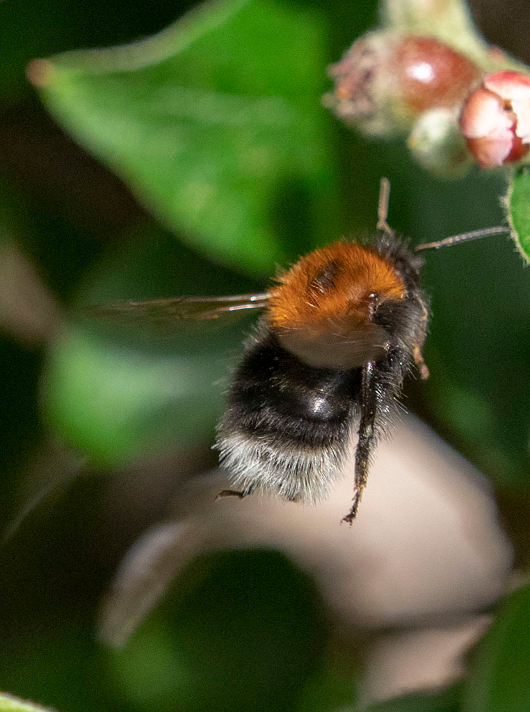 P6120234.jpg