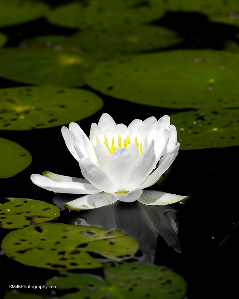 P6240114-2.jpg