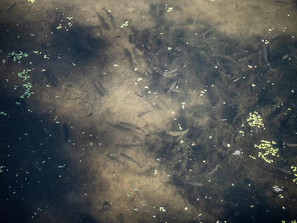 P7230200.jpg