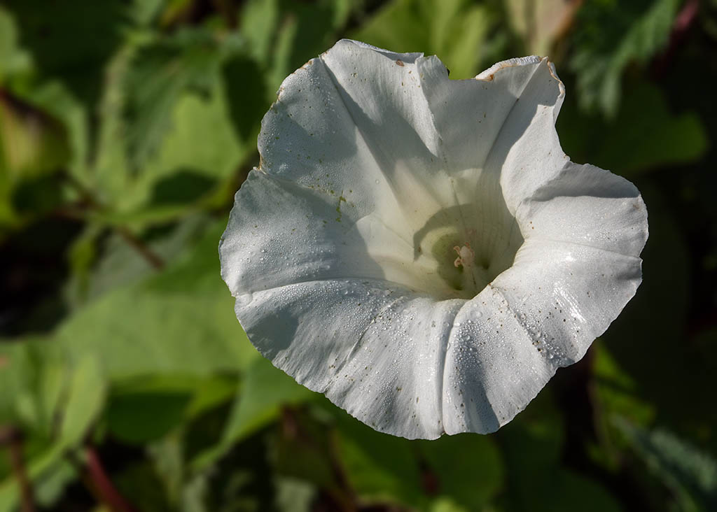 P9010086.jpg