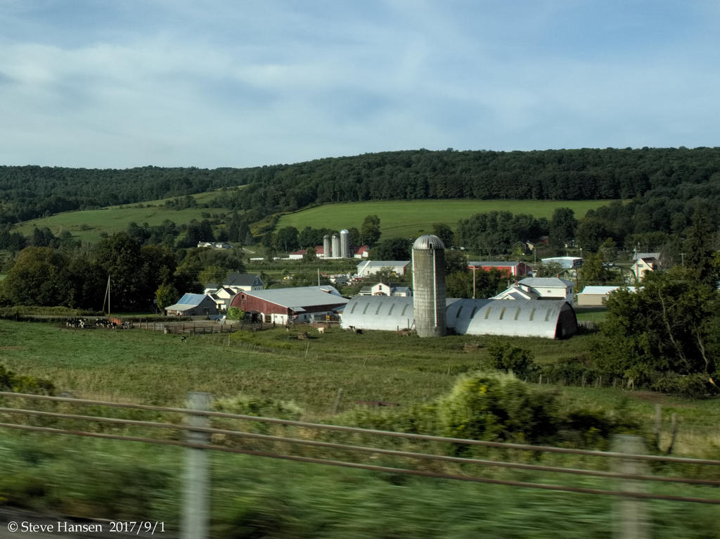 P9010300.jpg