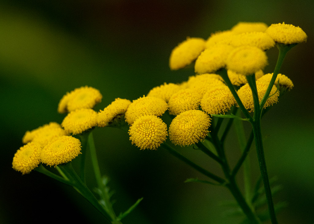 P9150026.jpg
