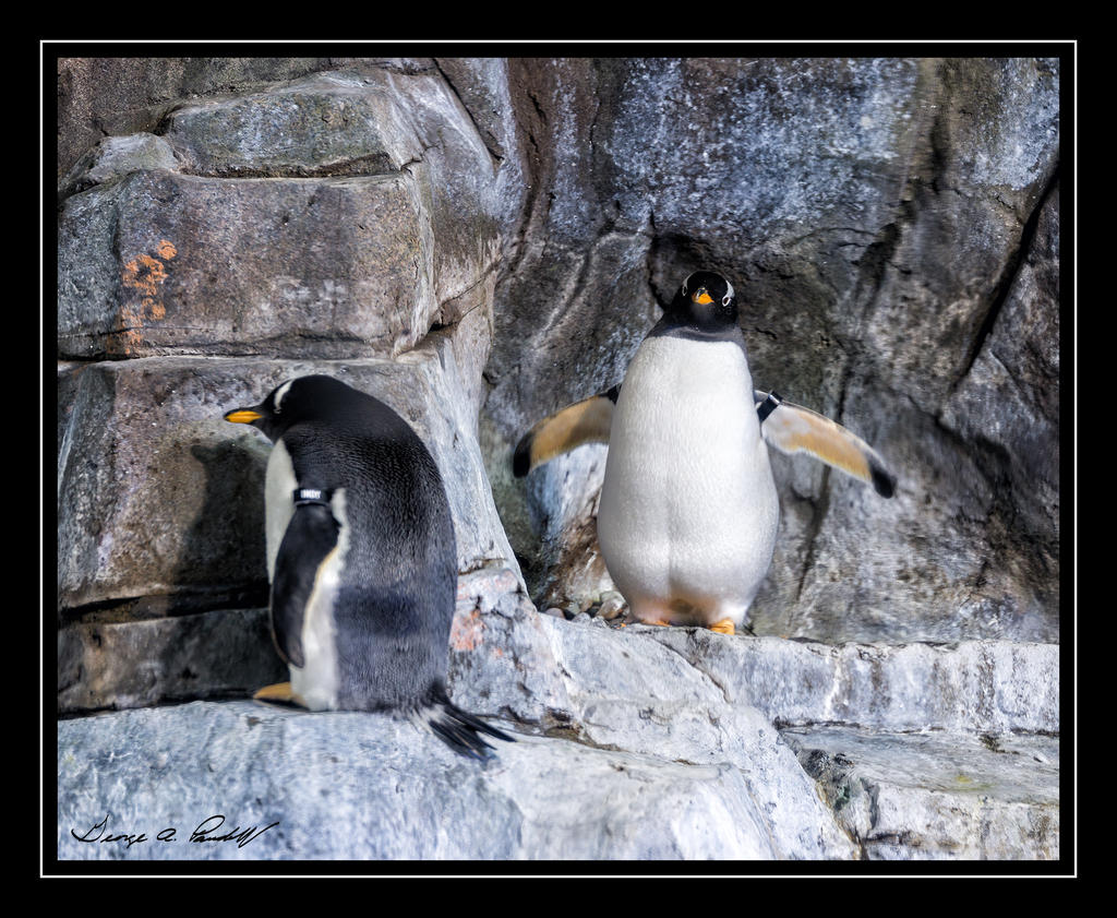 P_DSC_2655.jpg
