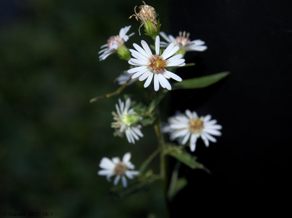 PA010228.jpg