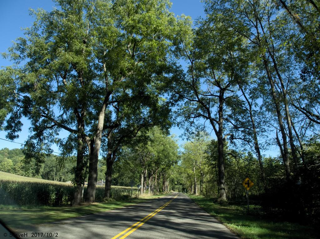 PA020231.jpg