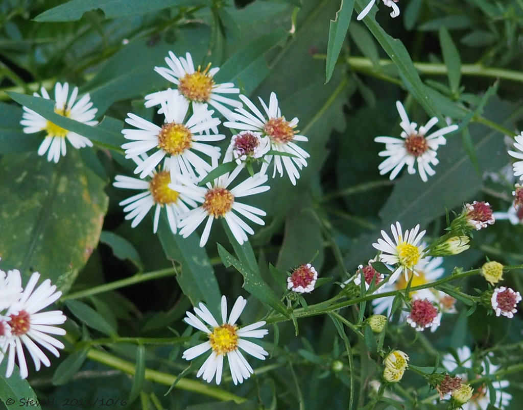 PA060020.jpg