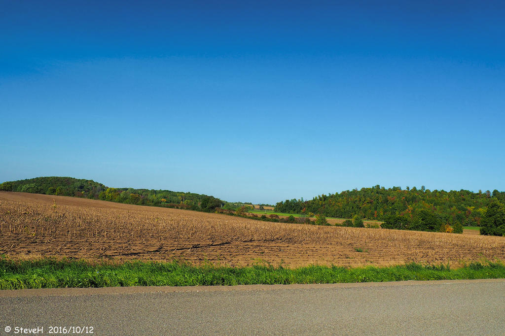 PA120012.jpg