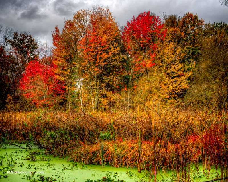PA170095_tonemapped.jpg