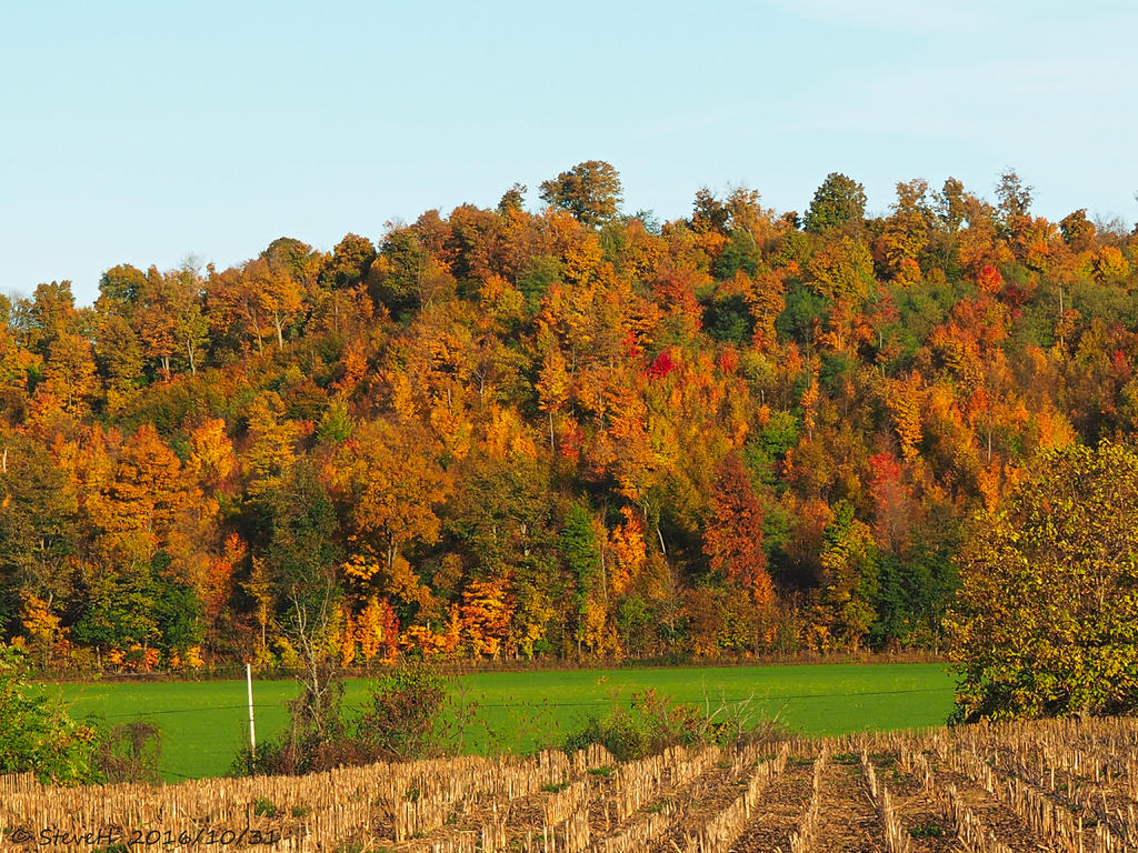 PA310064.jpg