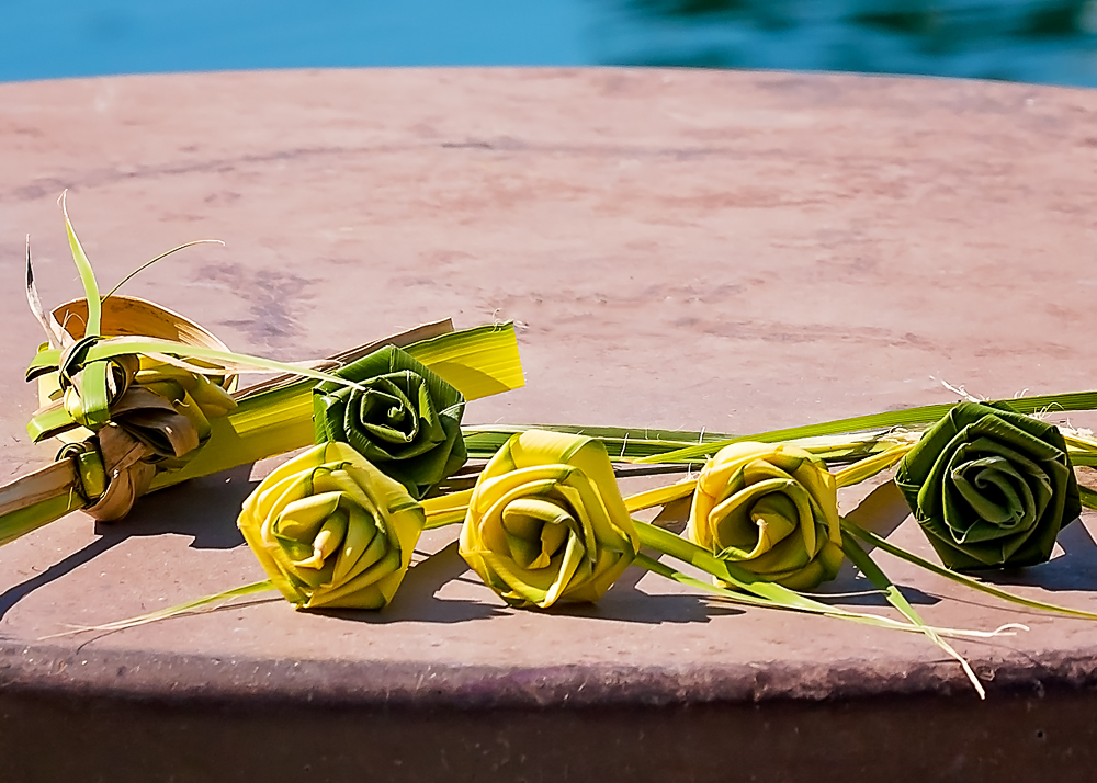 Palm Frond Roses, $1.jpg