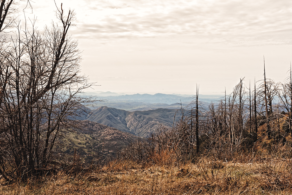 Palomar Mountain #1.jpg