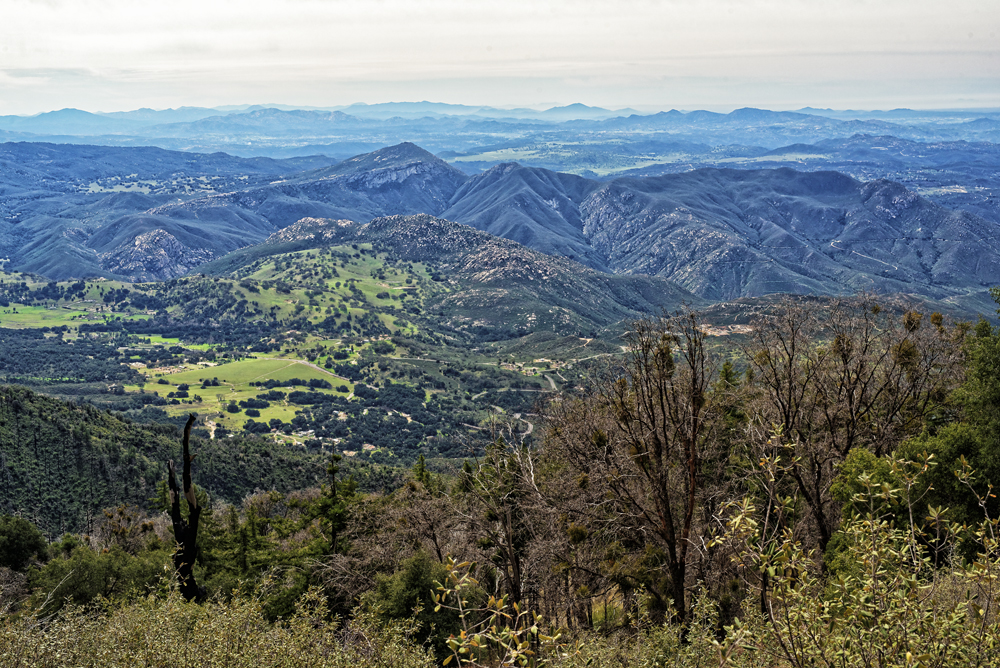 Palomar Mountain #2.jpg