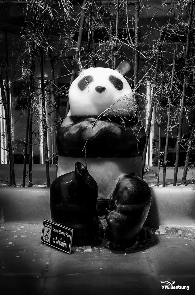 panda-1.jpg