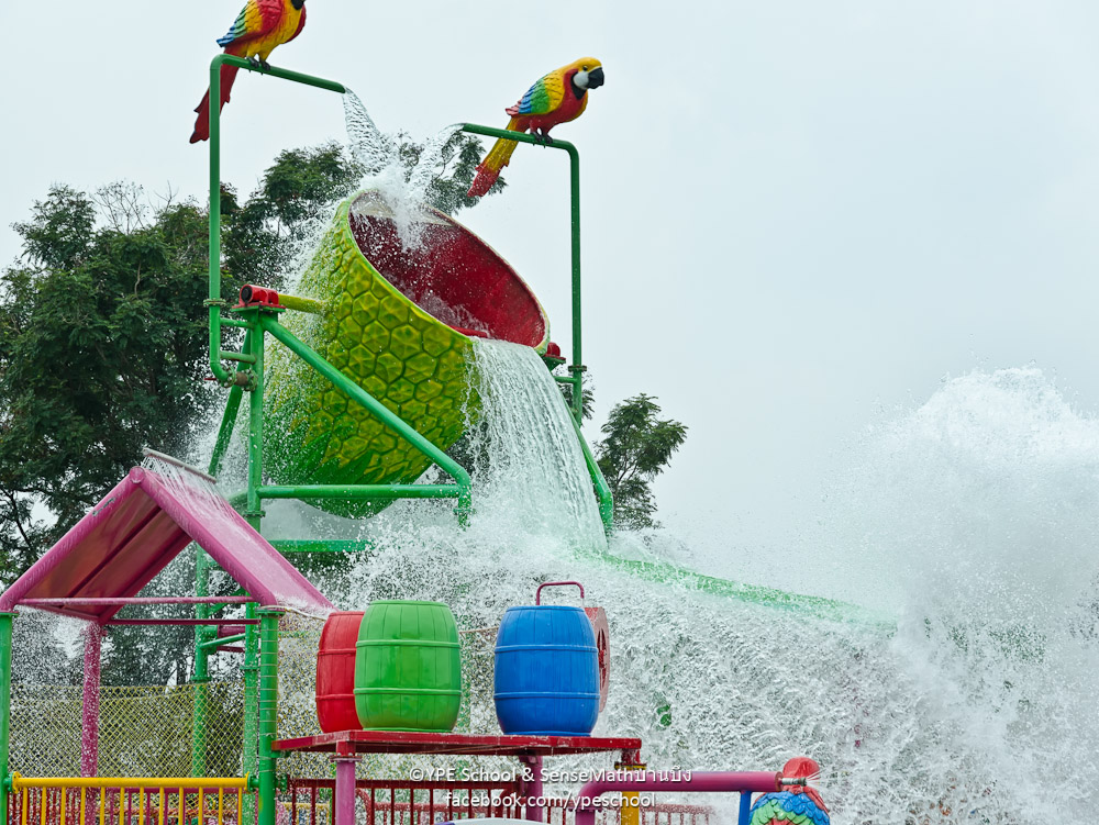 papsplash-2.jpg