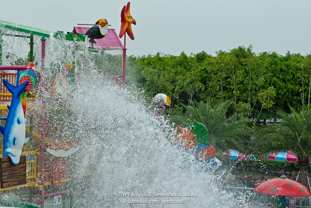 papsplash-3.jpg