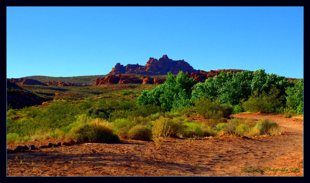 Paradise Hike  6-15-2016.jpg