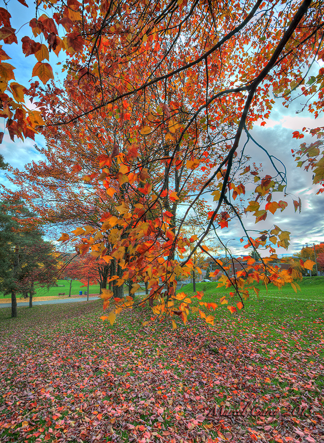 Parc Jacques-Cartier.jpg