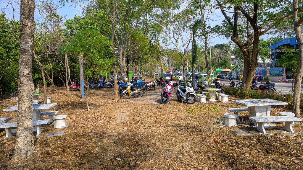park-1.jpg