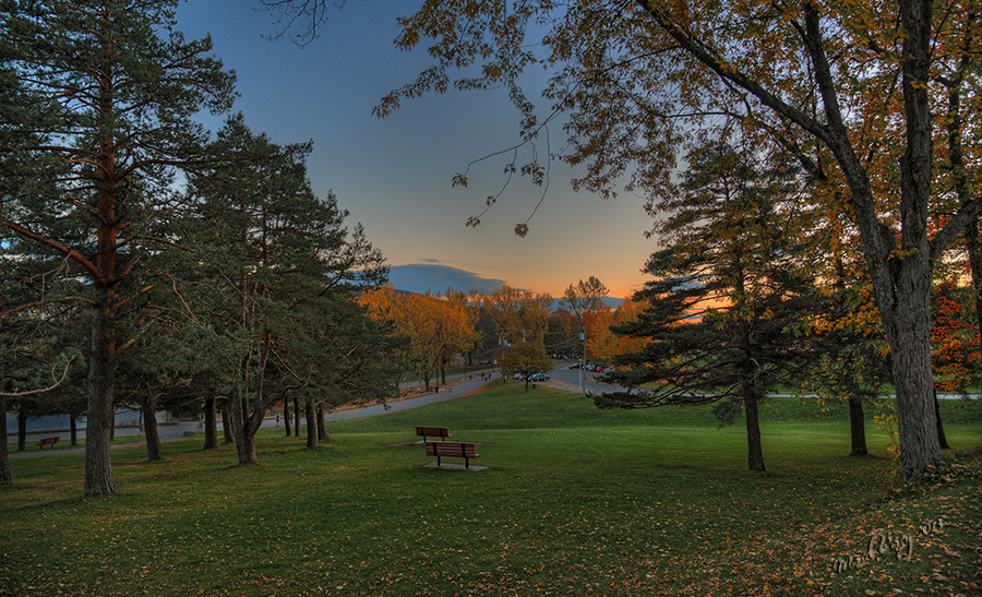 Park 2 HDR.jpg
