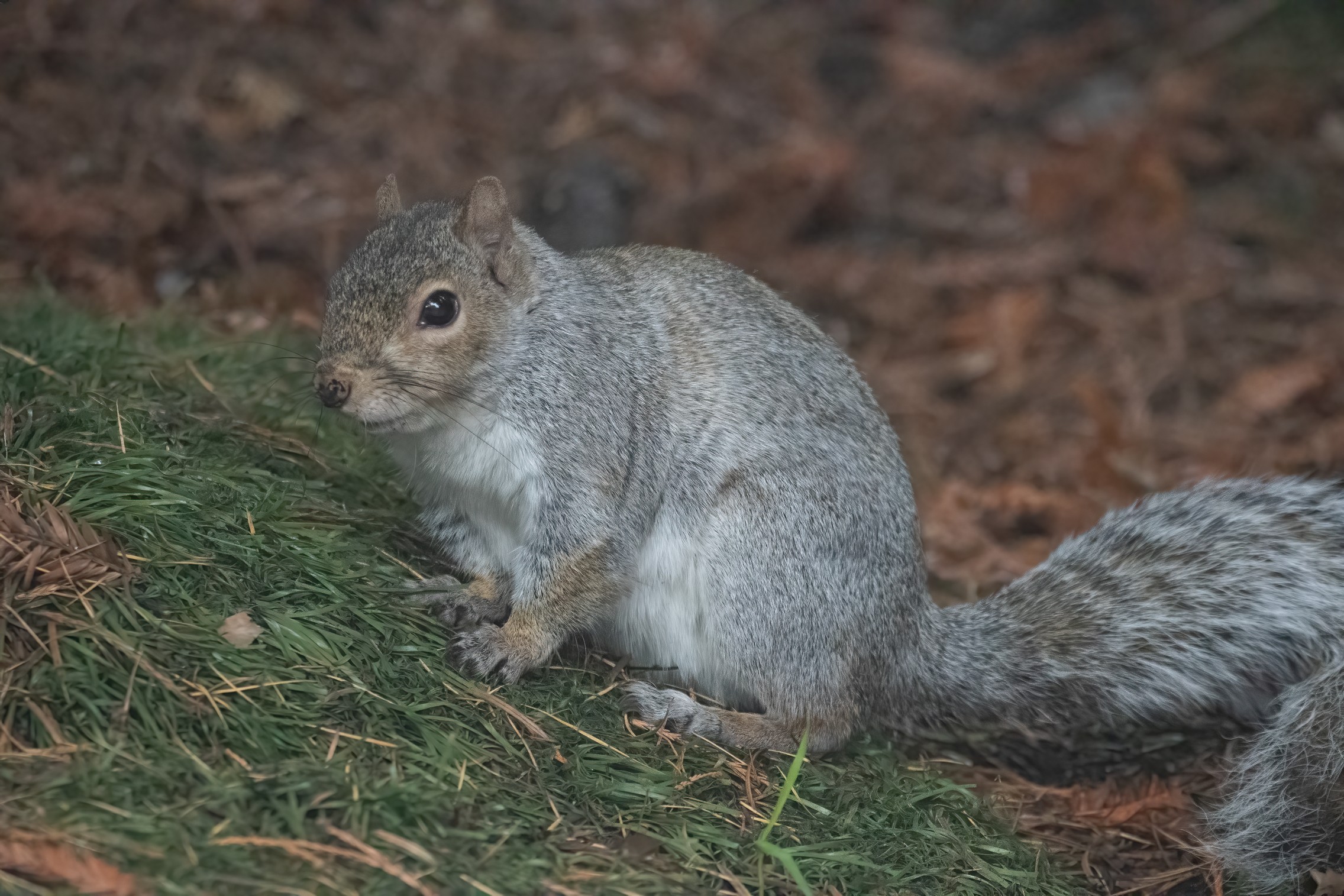 Park-25.jpg