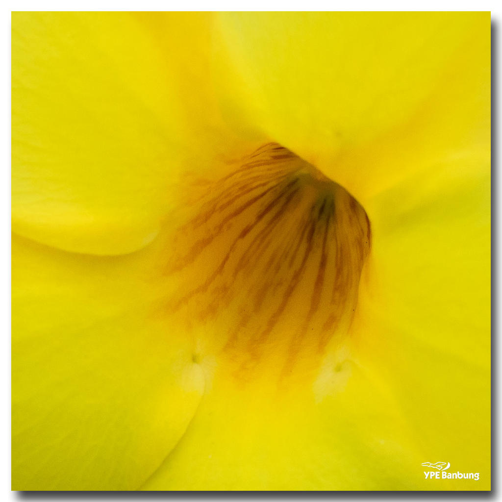 park-4-FrameShop.jpg