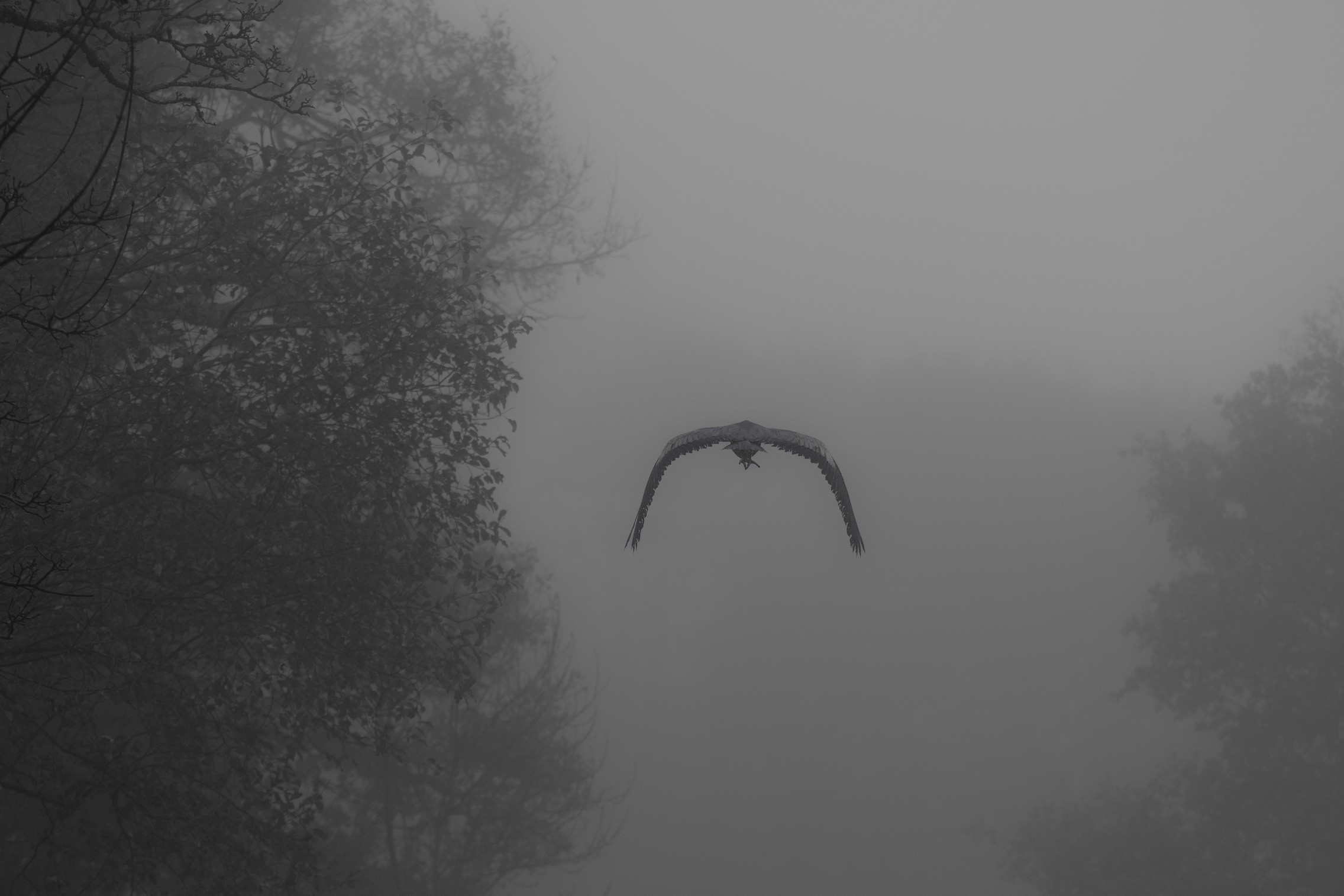 Park-9.jpg