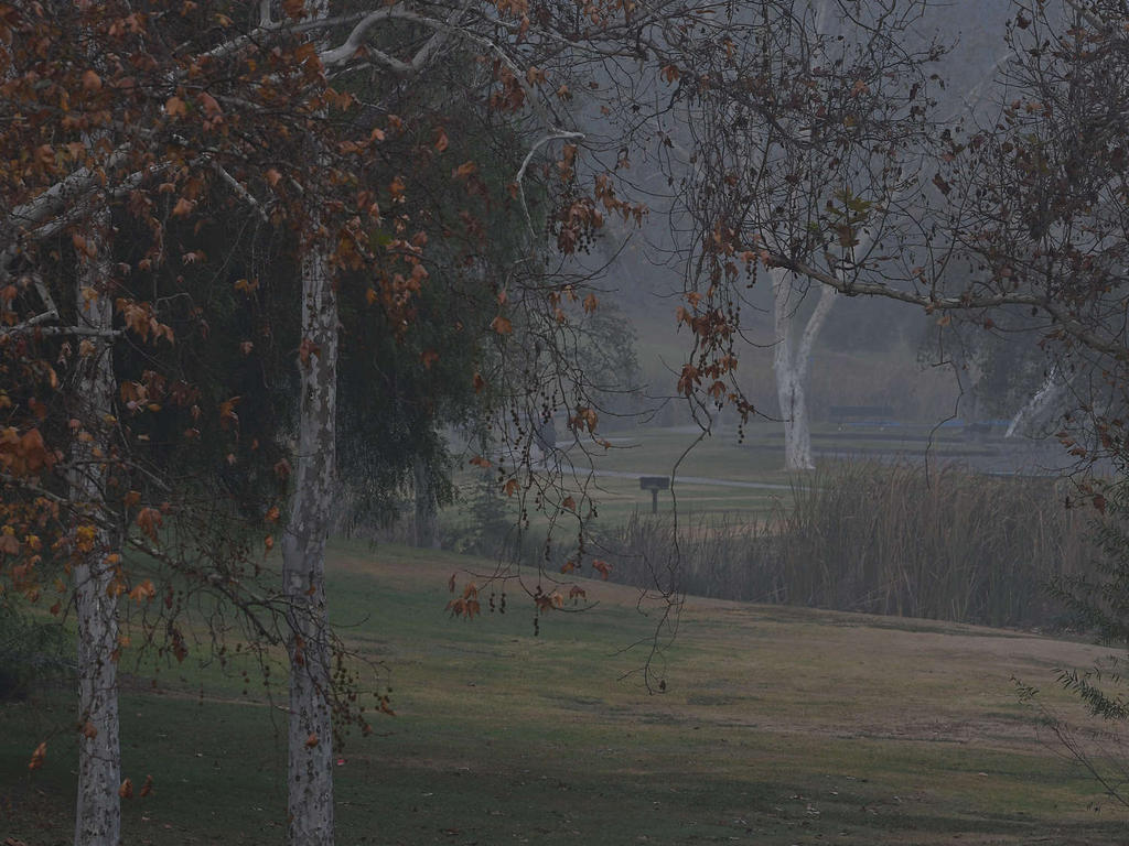 Park.jpg
