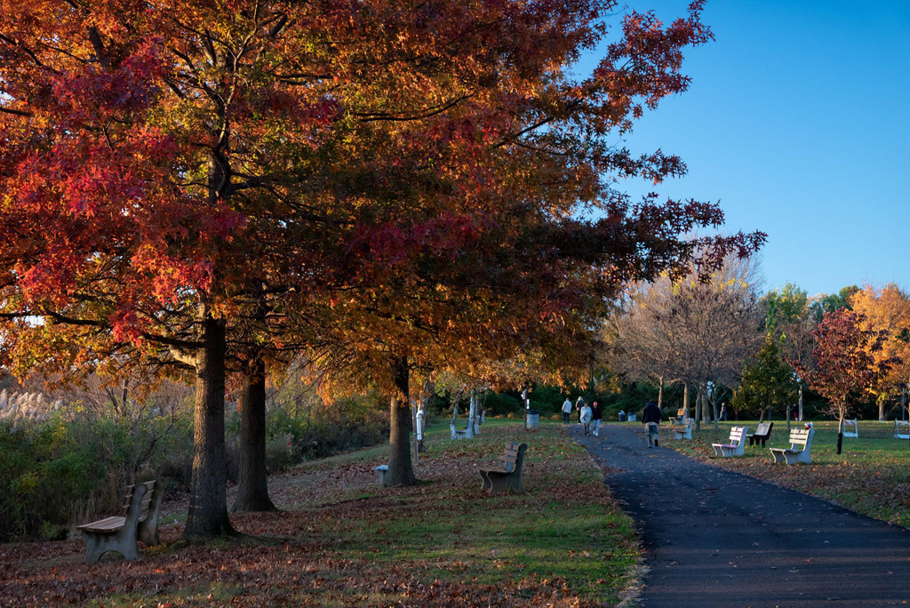 Park.jpg