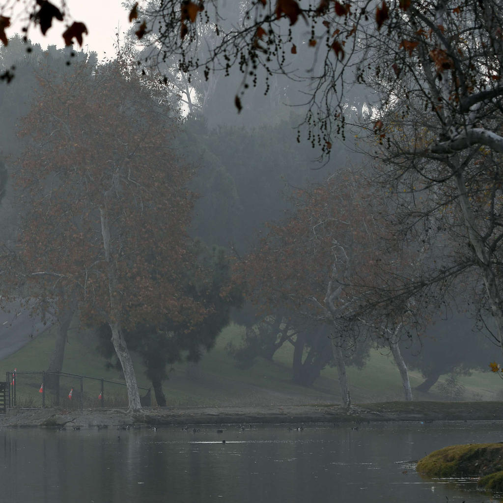 Park2.jpg