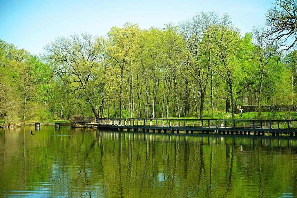 Parkbridge.jpg