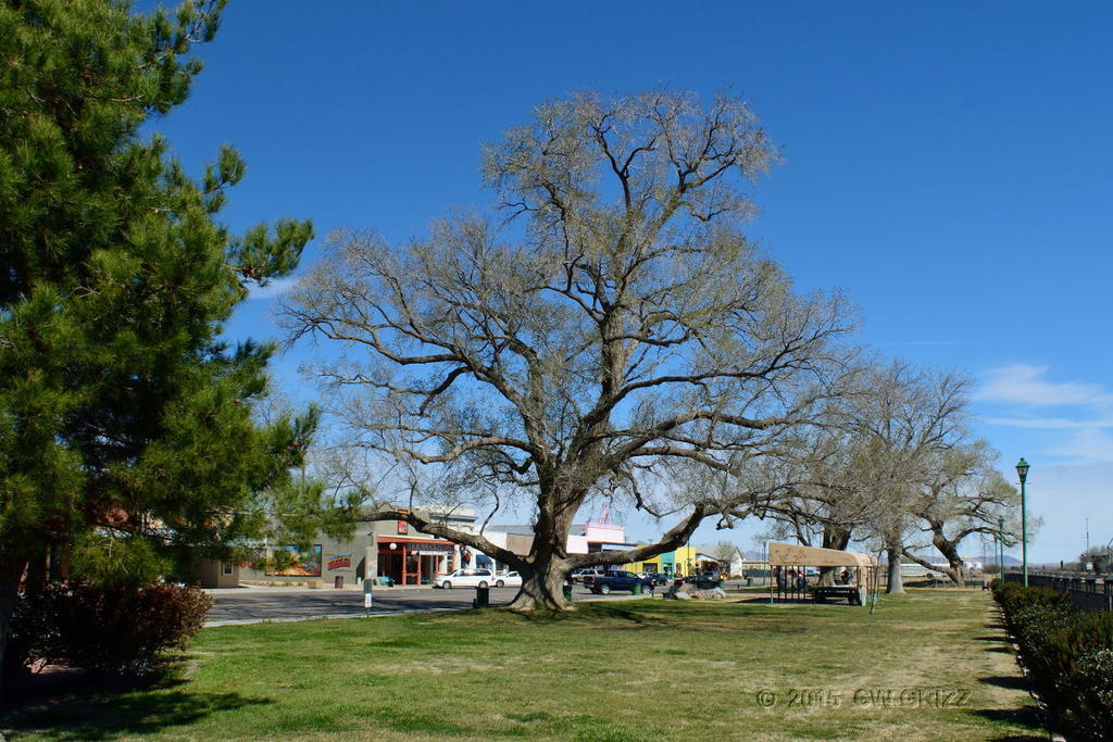 parktest-RT.jpg