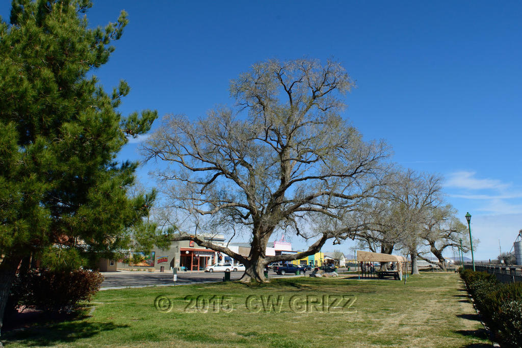 parktestB4-RT.jpg
