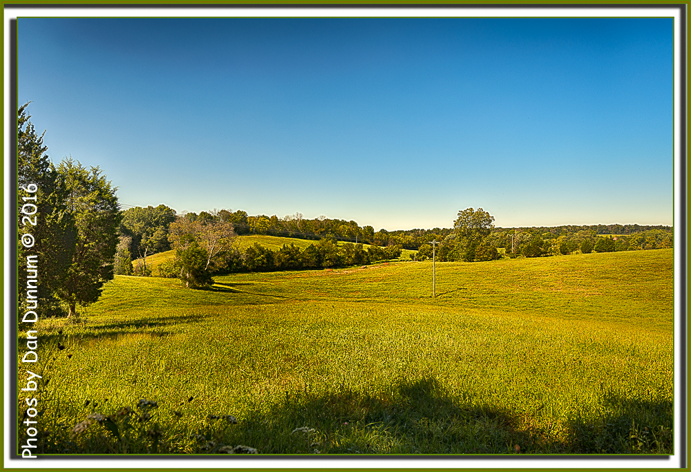 Pasture Land-4024-Edit.jpg