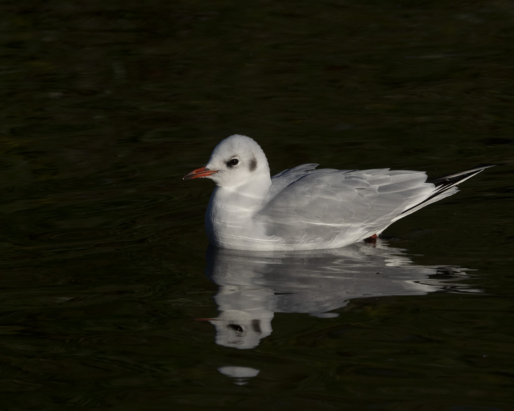 PB020109.jpg