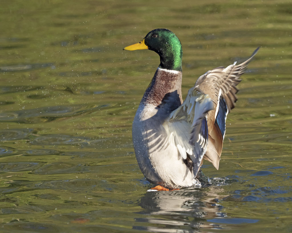 PB020122.jpg