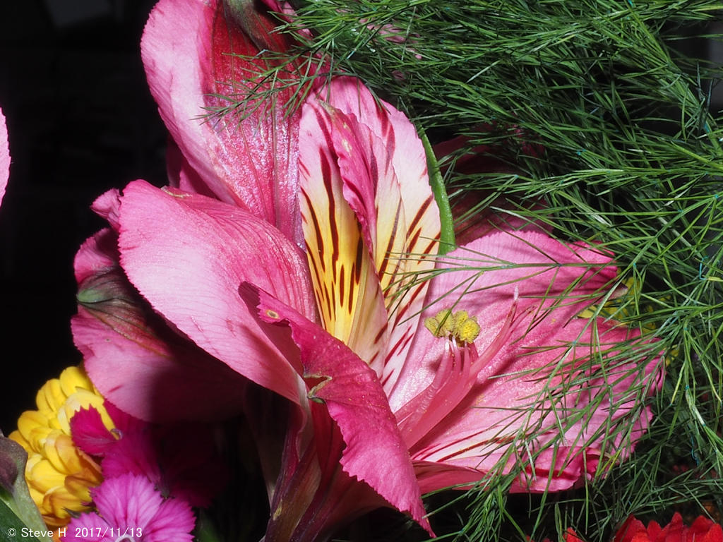 PB130018.jpg