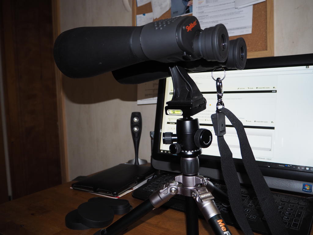 PC210145.jpg